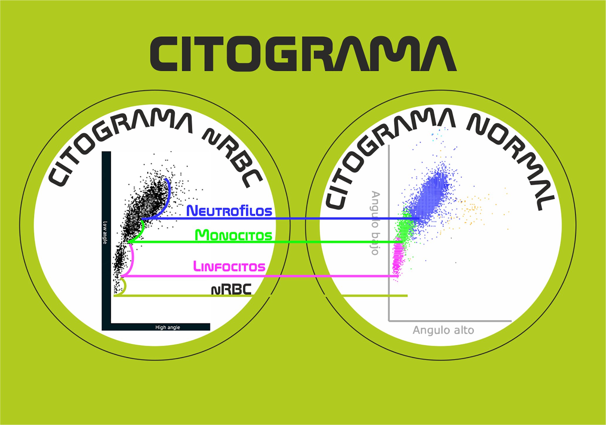 citometria citometria