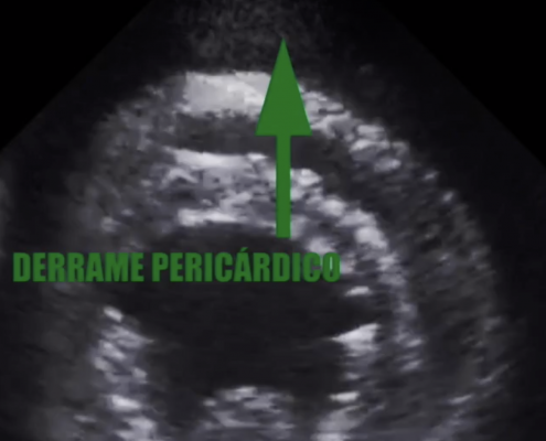 Tamponamiento cardíaco servet urgencias veterinarias