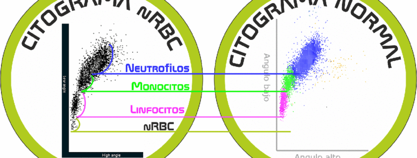 interpretación del scatergrama
