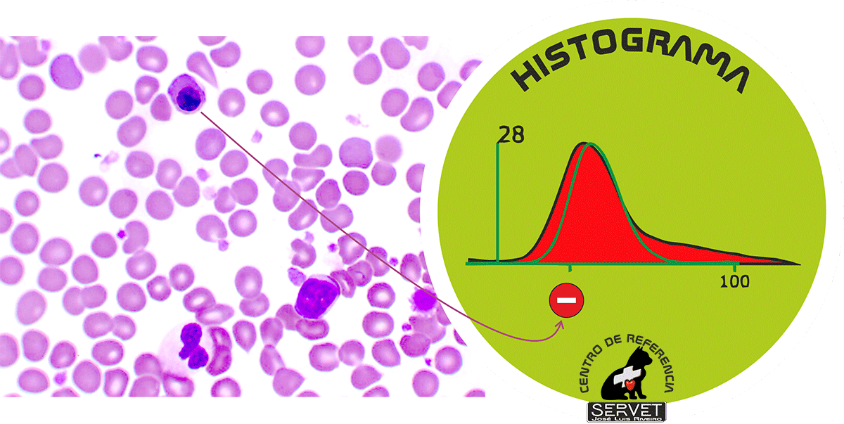 nRBC--histograma-de-celulas-rojas Células rojas nucleadas histograma