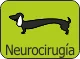 neurocirugia-final