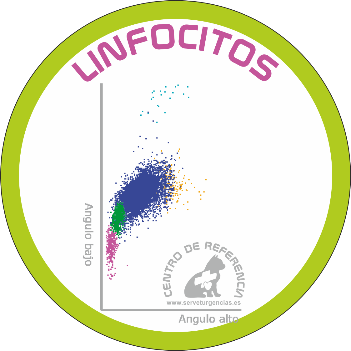 LINFOCITOS LINFOCITOS