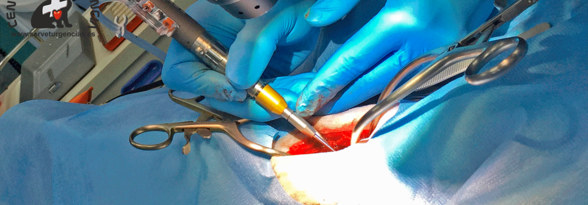 Slot ventral Servet Urgencias Slot ventral Servet Urgencias